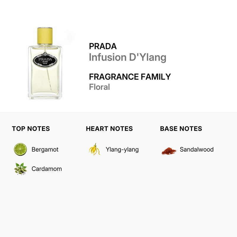 Prada Infusion D'Ylang EDP Spray 3.4 oz Fragrances 3614273674461