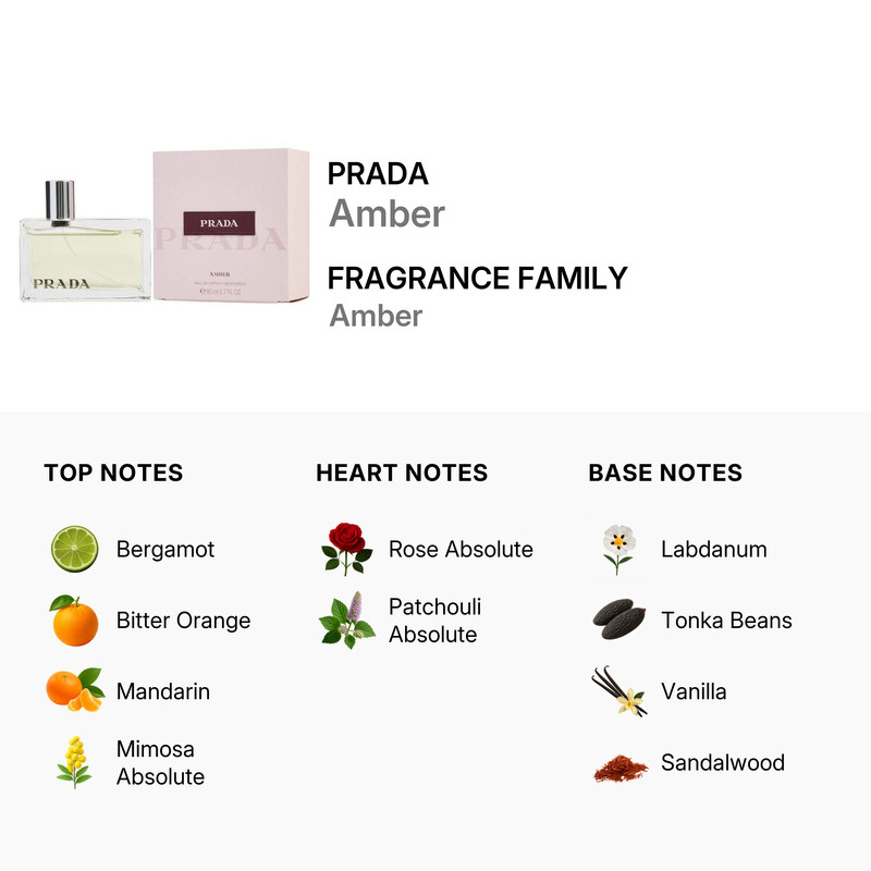 Prada Ladies Amber EDP Spray 2.7 oz Fragrances 8435137701759