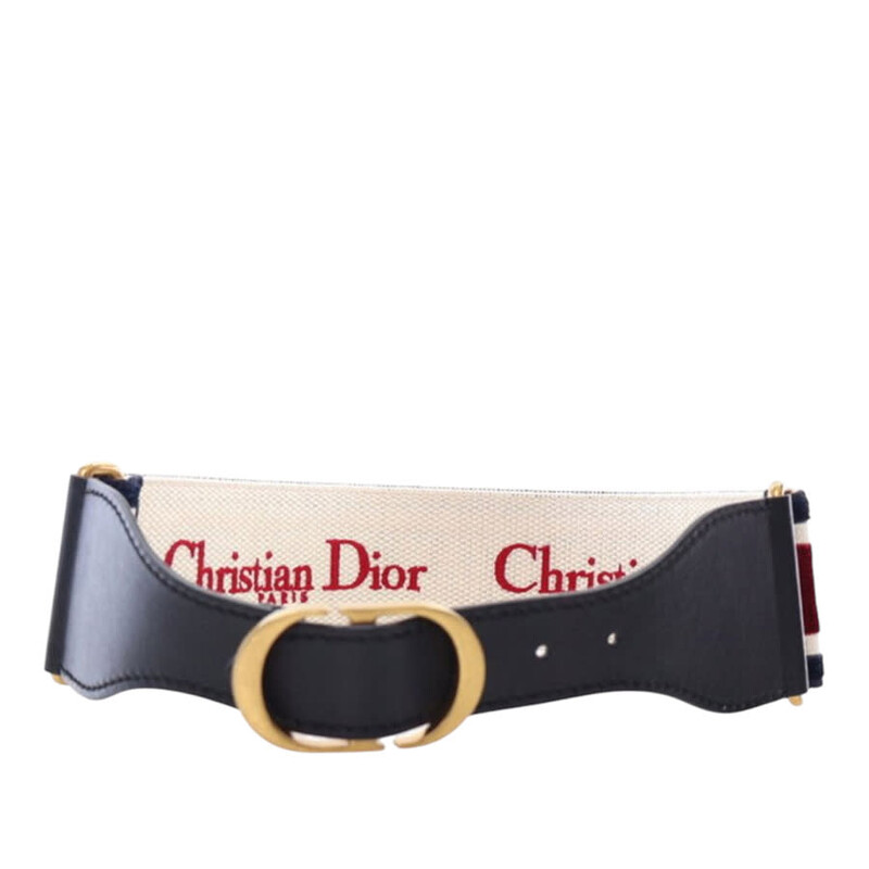Dior Pre-owned Dior Leather and Embroidered Canvas Wide Belt
