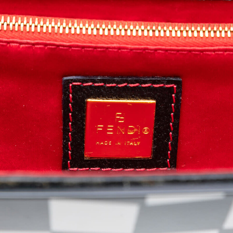 Fendi Pre-owned Fendi Pigskin Plexiglass Geometric Shoulder Bag