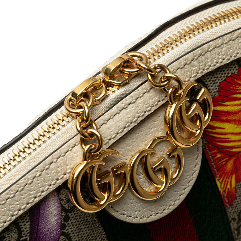 Gucci Pre-owned Gucci Small GG Supreme Web Flora Ophidia Dome
