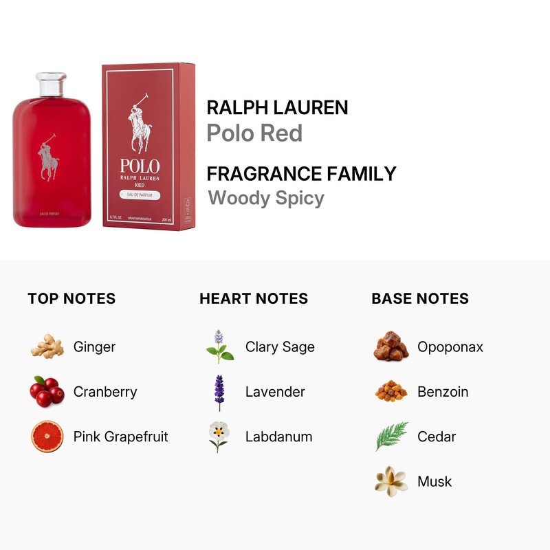 Ralph Lauren Men's Polo Red EDP Spray 6.7 oz Fragrances