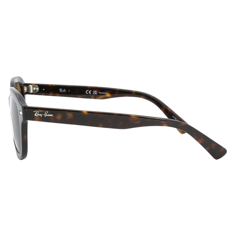 Ray-Ban Erik Polarized Brown Square Unisex Sunglasses RB4398 902