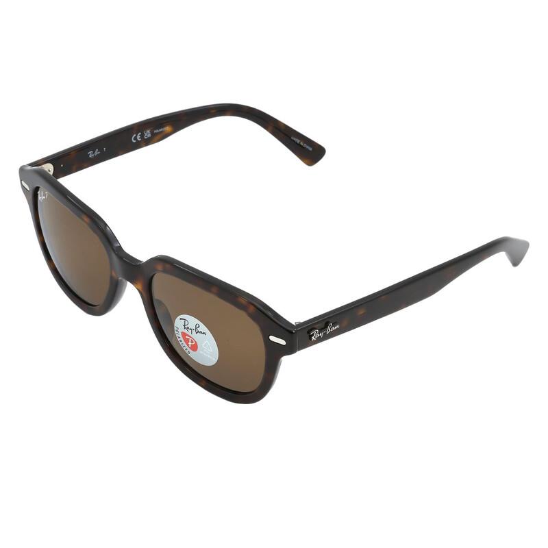 Ray-Ban Erik Polarized Brown Square Unisex Sunglasses RB4398 902