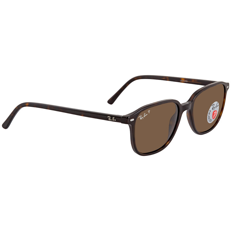 Ray-Ban Leonard Polarized Brown Square Unisex Sunglasses RB2193