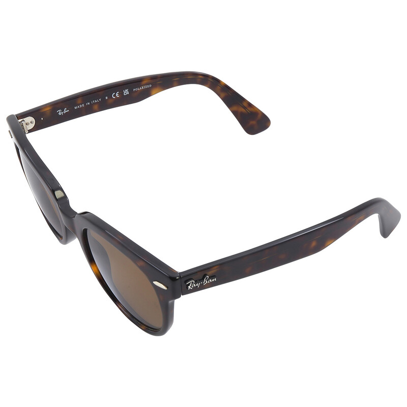 Ray-Ban Orion Brown Polarized Cat Eye Unisex Sunglasses RB2199 902