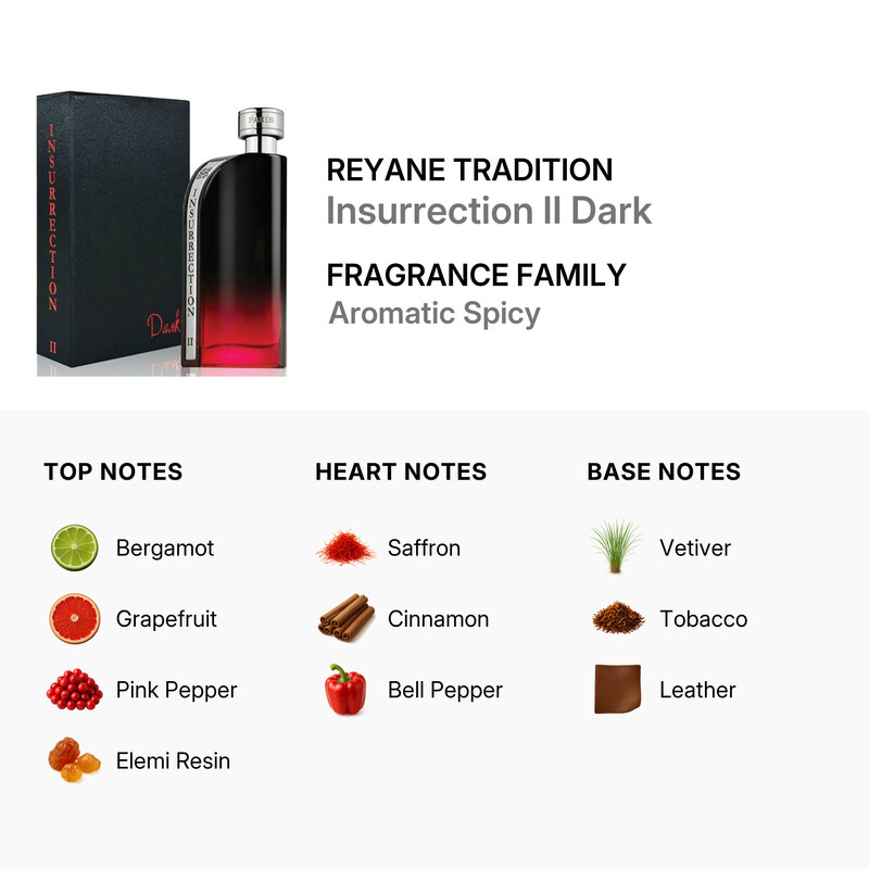 Rayenne Insurrection Reyane Tradition Reyane Men's Insurrection II Dark EDT Spray 3.4 ...