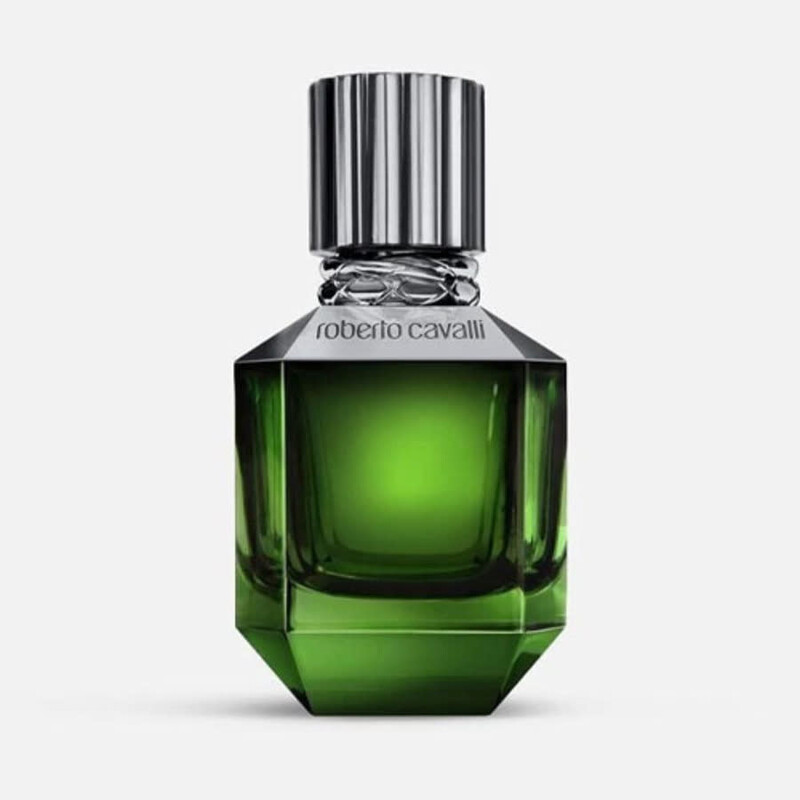 Roberto Cavalli Men's Paradise Found EDT Spray 1.69 oz Fragrances