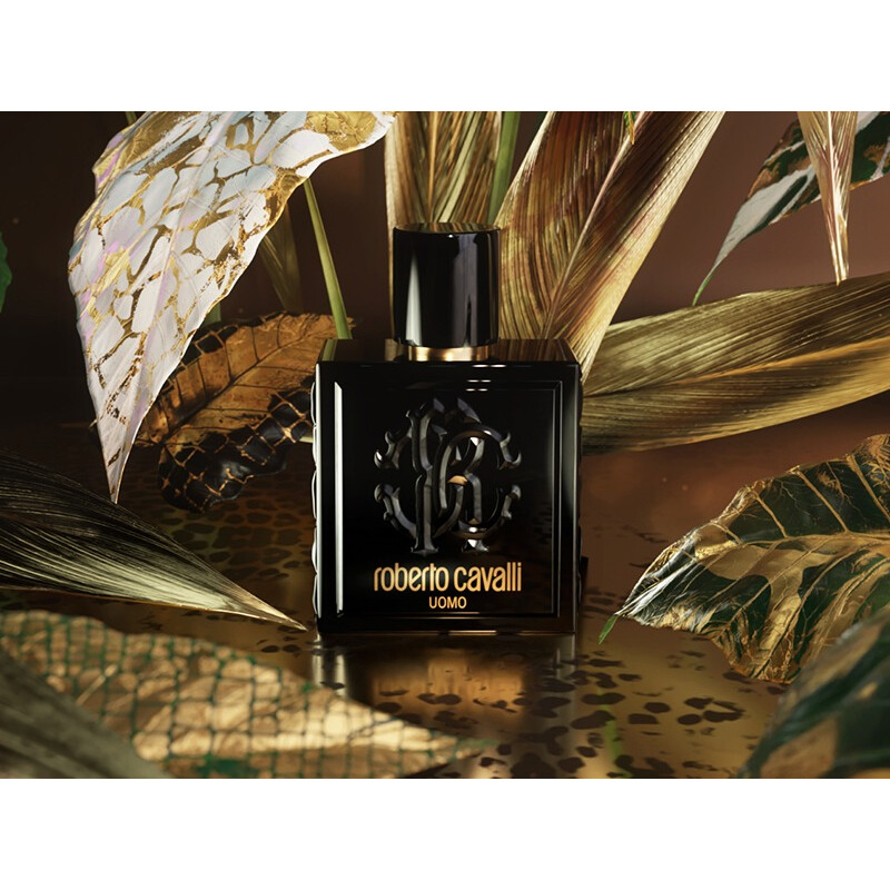 Roberto Cavalli Men's Uomo EDT Spray 3.4 oz (100 ml) 3614221193952