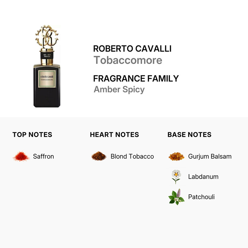 tobacco more roberto cavalli Roberto Cavalli Tabaccomore Eau de Parfum Spray by Roberto Cavalli for Men 3.4 oz