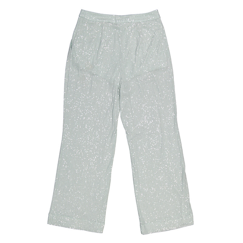 Wan Blue Rotate Ladies Wan Blue Transparent Sequins Trousers, Brand Size 34 (US ...