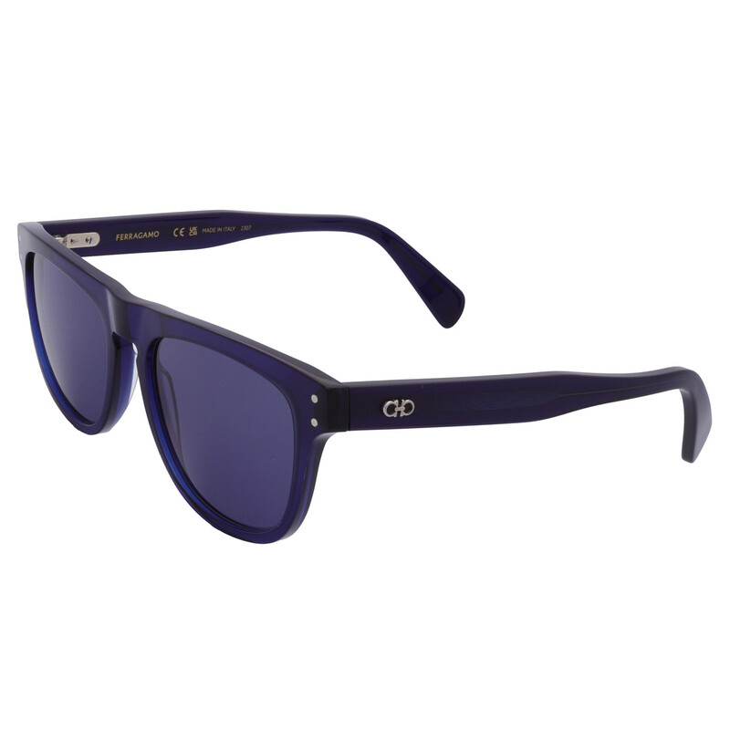 Ferragamo Salvatore Ferragamo Blue Browline Men's Sunglasses