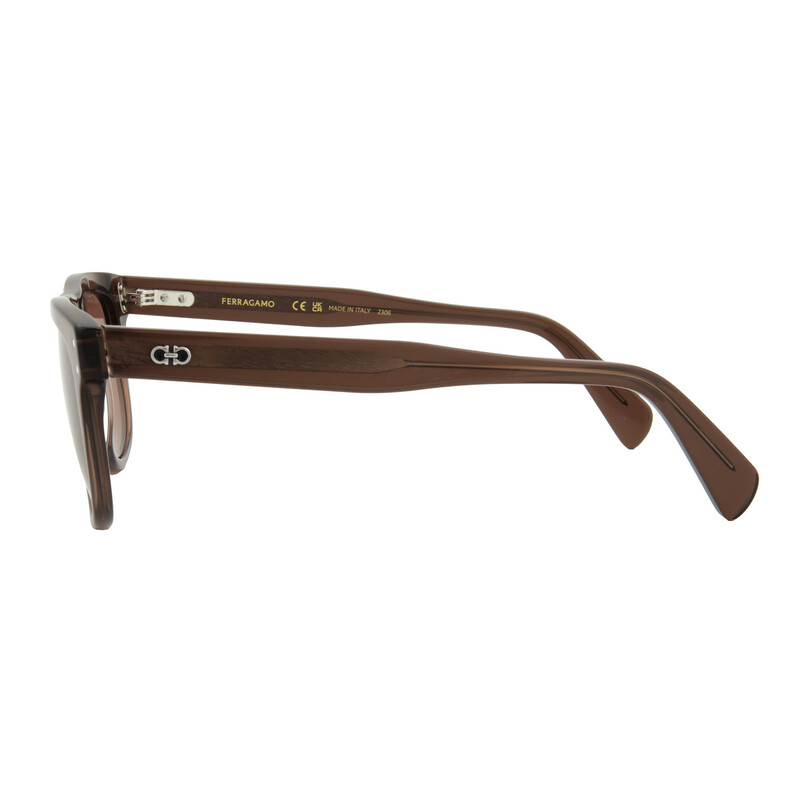 Ferragamo Salvatore Ferragamo Brown Browline Men's Sunglasses