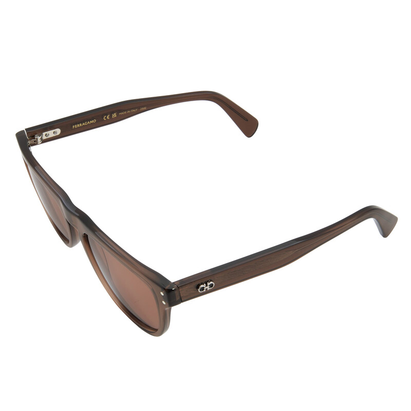 Ferragamo Salvatore Ferragamo Brown Browline Men's Sunglasses