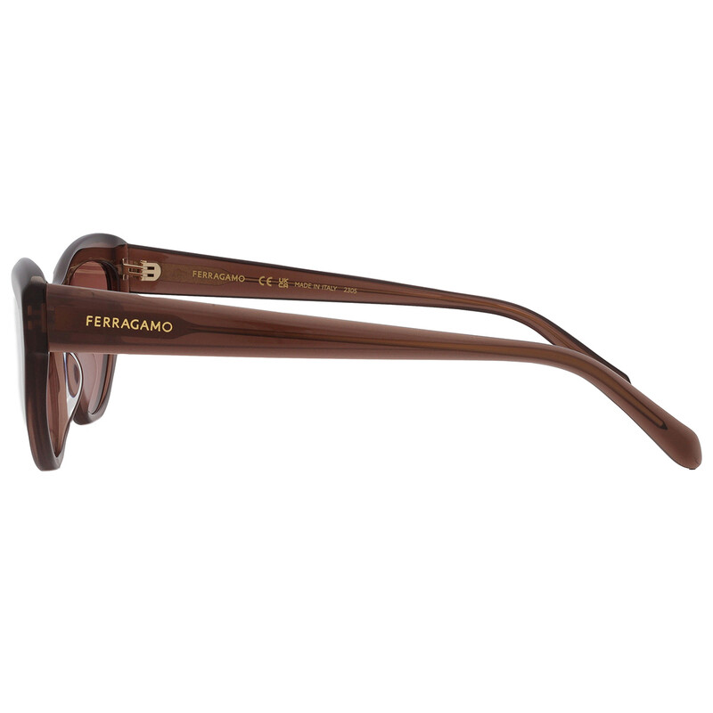 Ferragamo Salvatore Ferragamo Brown Cat Eye Ladies  display picture 1
