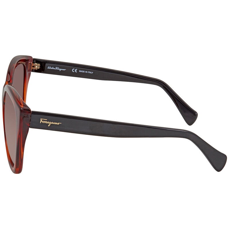 Ferragamo Salvatore Ferragamo Brown Cat Eye Ladies  display picture 1