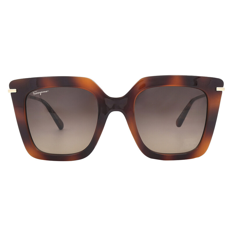 Ferragamo Salvatore Ferragamo Brown Gradient Butterfly Ladies