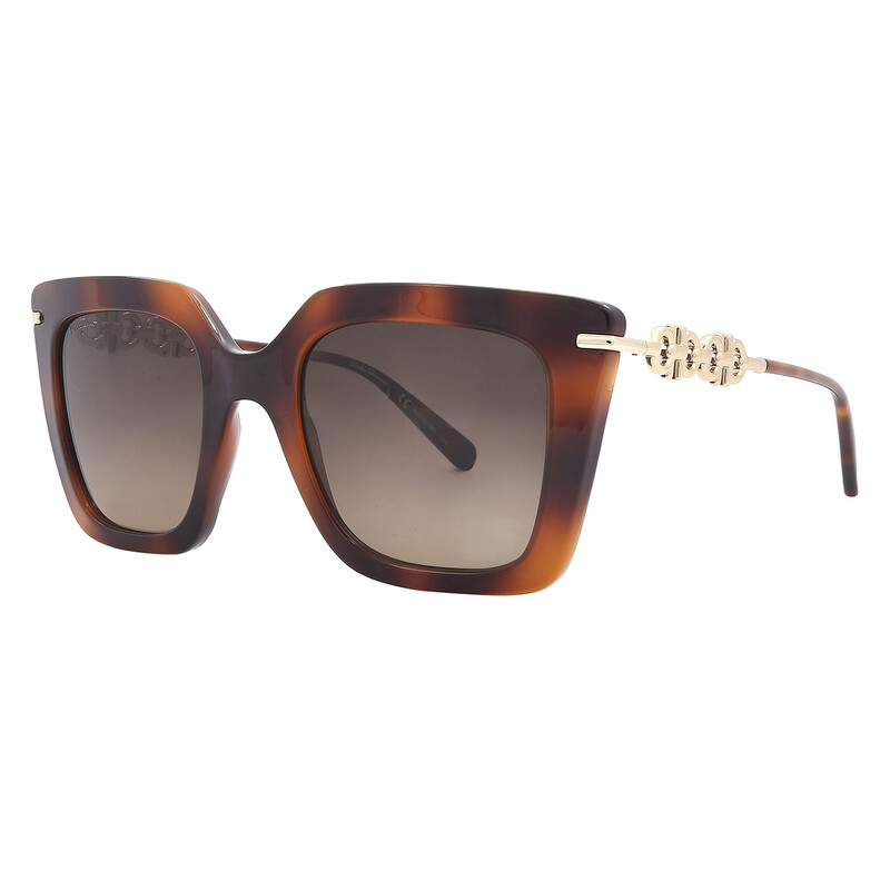 Ferragamo Salvatore Ferragamo Brown Gradient Butterfly Ladies