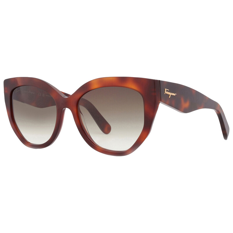 Ferragamo Salvatore Ferragamo Brown Gradient Cat Eye Ladies