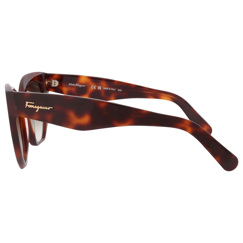 Ferragamo Salvatore Ferragamo Brown Gradient Cat Eye Ladies