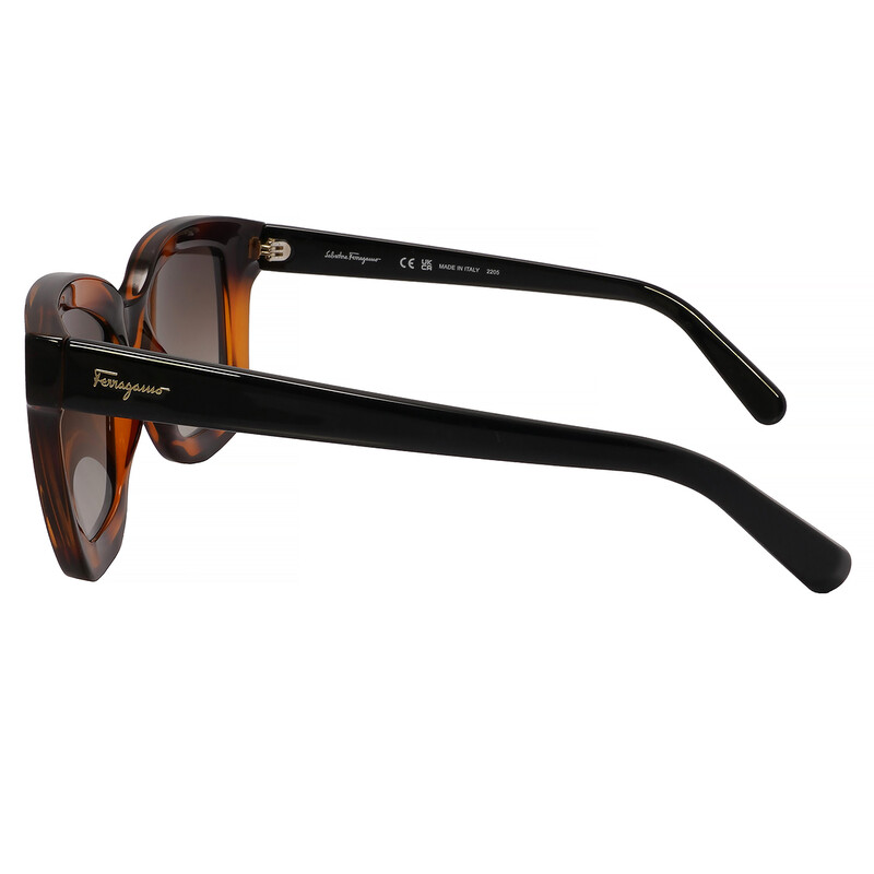 Ferragamo Salvatore Ferragamo Brown Gradient Rectangular  display picture 3