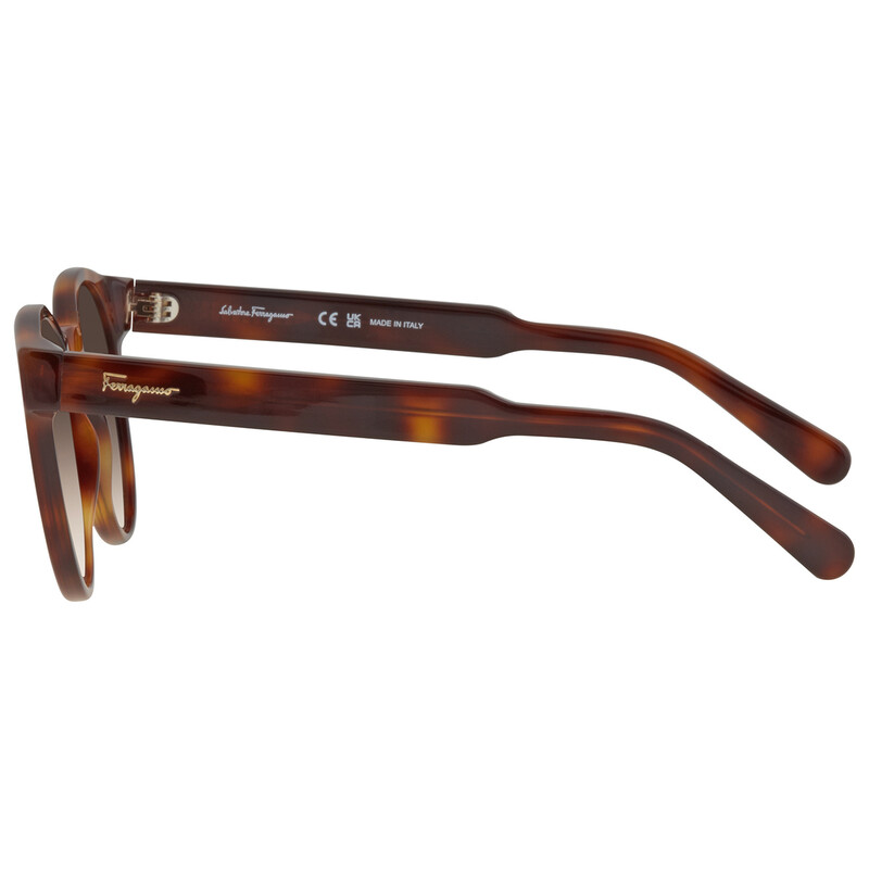 Ferragamo Salvatore Ferragamo Brown Gradient Round Ladies