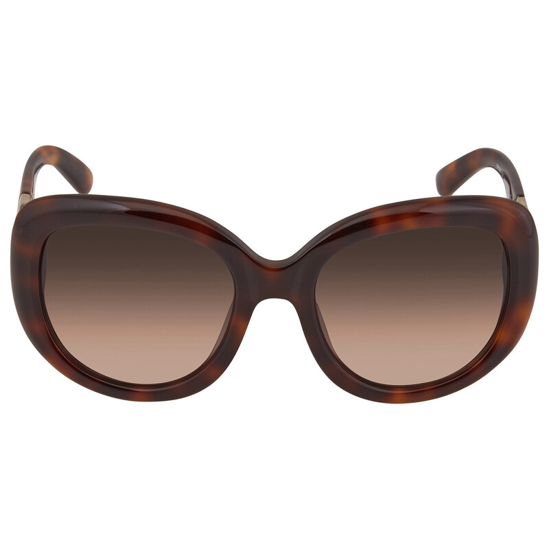 Ferragamo Salvatore Ferragamo Brown Oval Ladies Sunglasses SF727S
