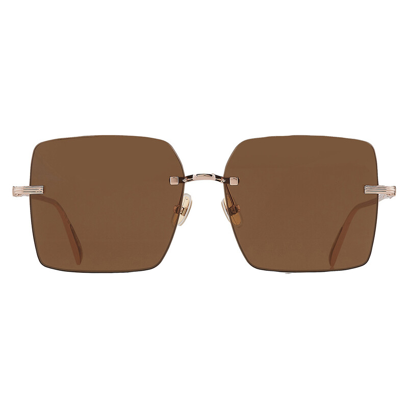 Ferragamo Salvatore Ferragamo Brown Square Ladies Sunglasses