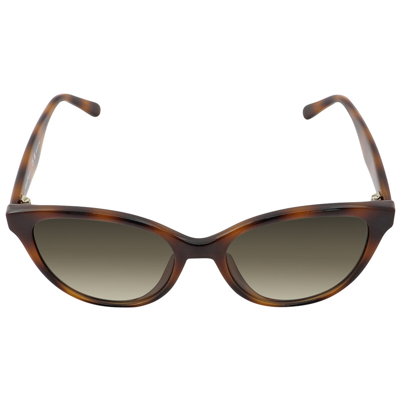Salvatore Ferragamo SF1073S 240 Grey Gradient Cat-Eye Sunglasses 54-17-140 NWT Ferragamo Salvatore Ferragamo Grey Gradient Cat Eye Ladies  main image 2