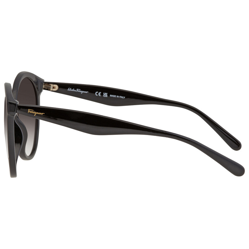 Ferragamo Salvatore Ferragamo Grey Gradient Round Ladies  display picture 1
