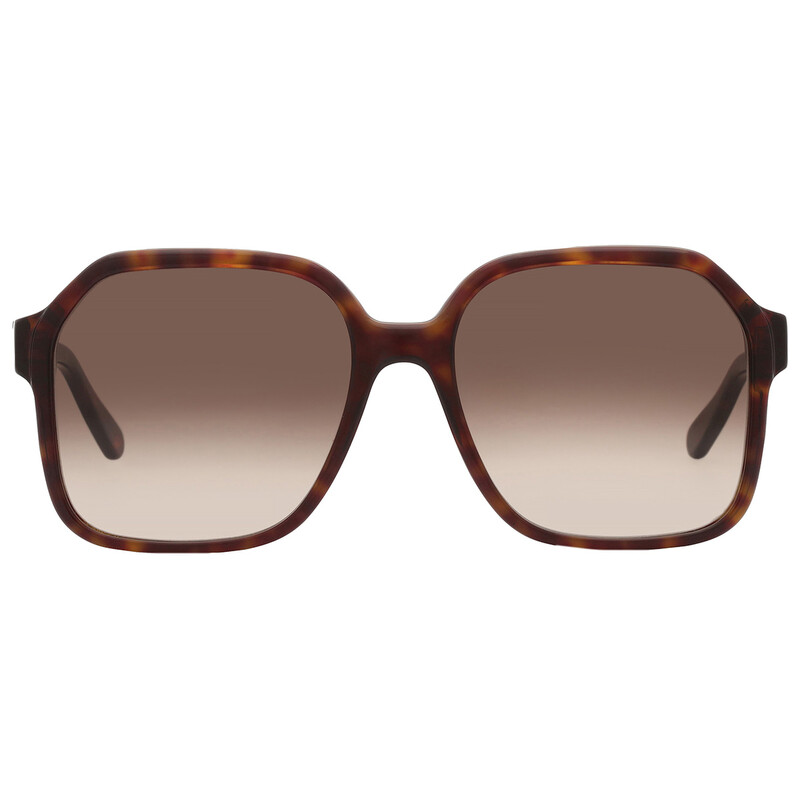 Salvatore ferragamo  サングラス レディース Salvatore Ferragamo サルヴァトーレ フェラガモ サングラス