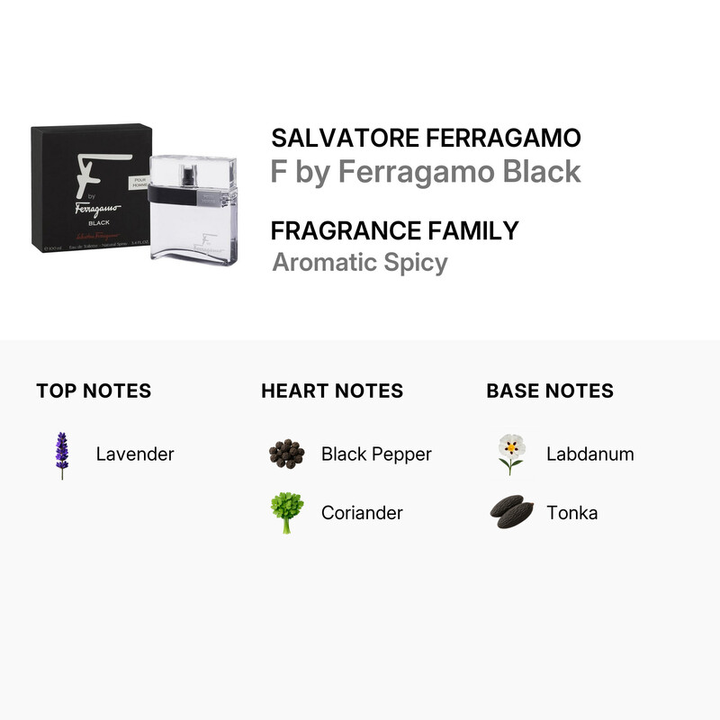 Salvatore Ferragamo Men's 