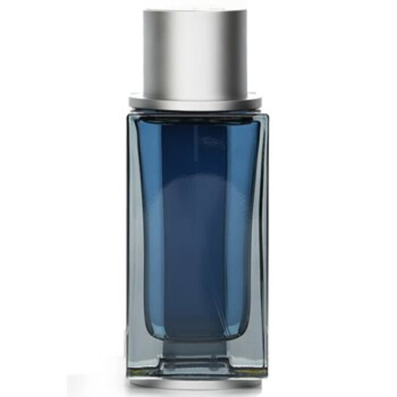 Salvatore Ferragamo Men's Intense Leather EDP 3.4 oz Fragrances