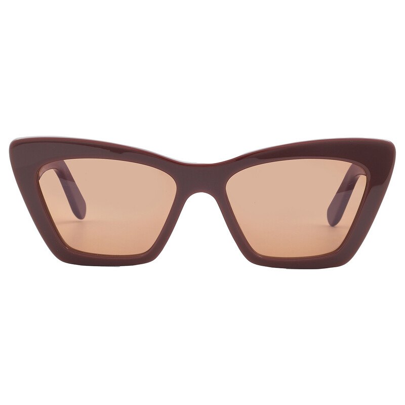 Ferragamo Salvatore Ferragamo Pink Cat Eye Ladies Sunglasses