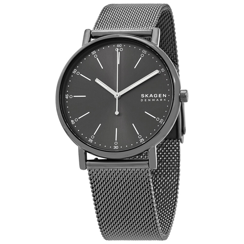 Skagen Signatur Quartz Grey Dial Men's Watch SKW6577 768680288056