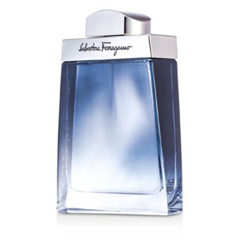 Salvatore Ferragamo Subtil Homme by Salvatore Ferragamo EDT Spray