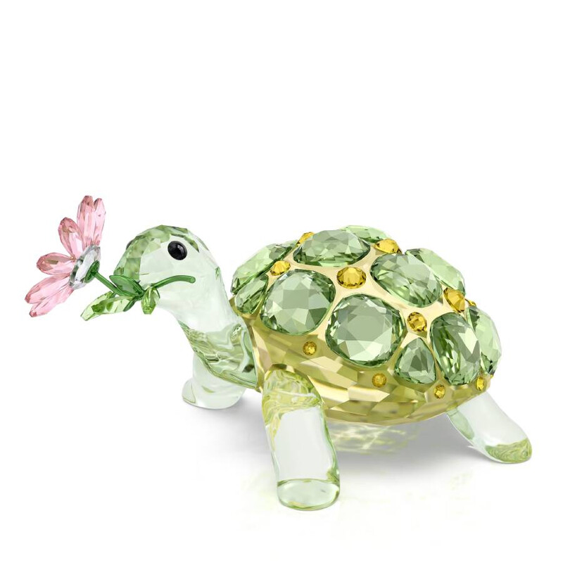 Swarovski Idyllia Tortoise and Daisy Figurine 5721542