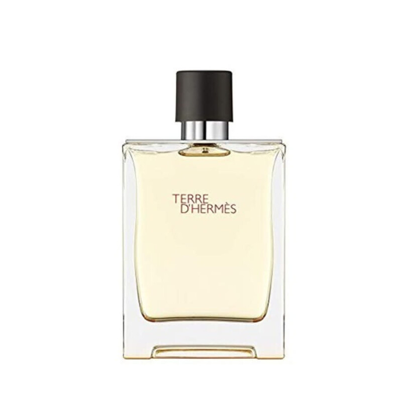 Terre Dhermes / Hermes EDT Spray 1.7 oz (50 ml) (M)