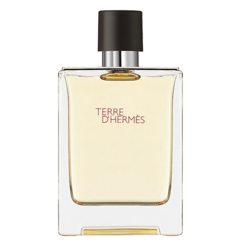Hermes Terre Dhermes / Hermes EDT Spray 3.3 oz (100 ml) (M