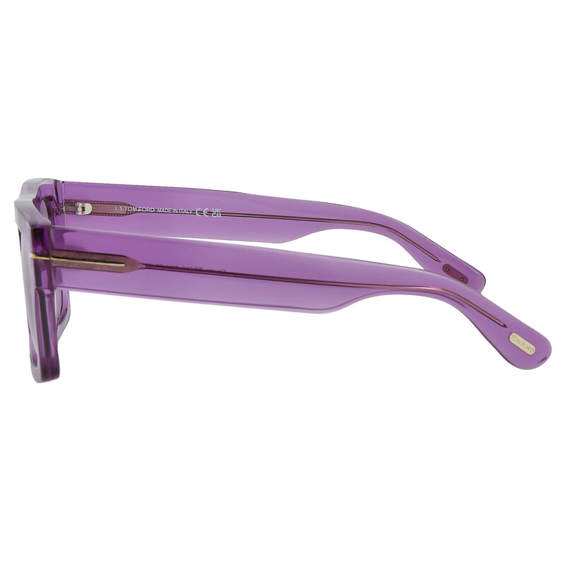 Tom Ford Fausto Violet Browline Men display picture 1
