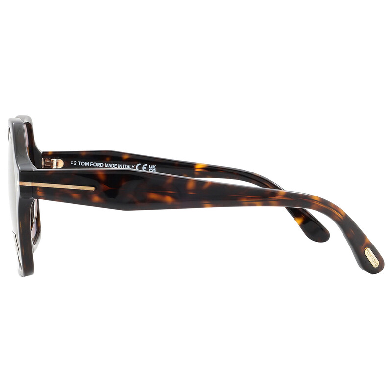 Tom Ford Romy Brown Hexagonal Ladies Sunglasses FT1032 52E  display picture 2