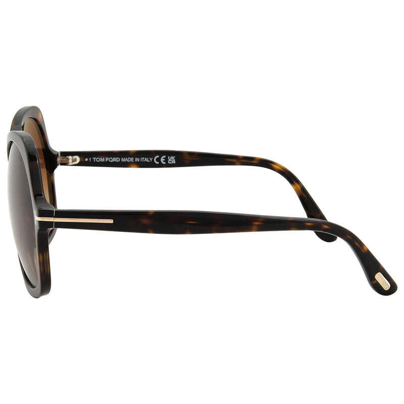 Tom Ford Rosemin Gradient Brown Butterfly Ladies Sunglasses FT1013