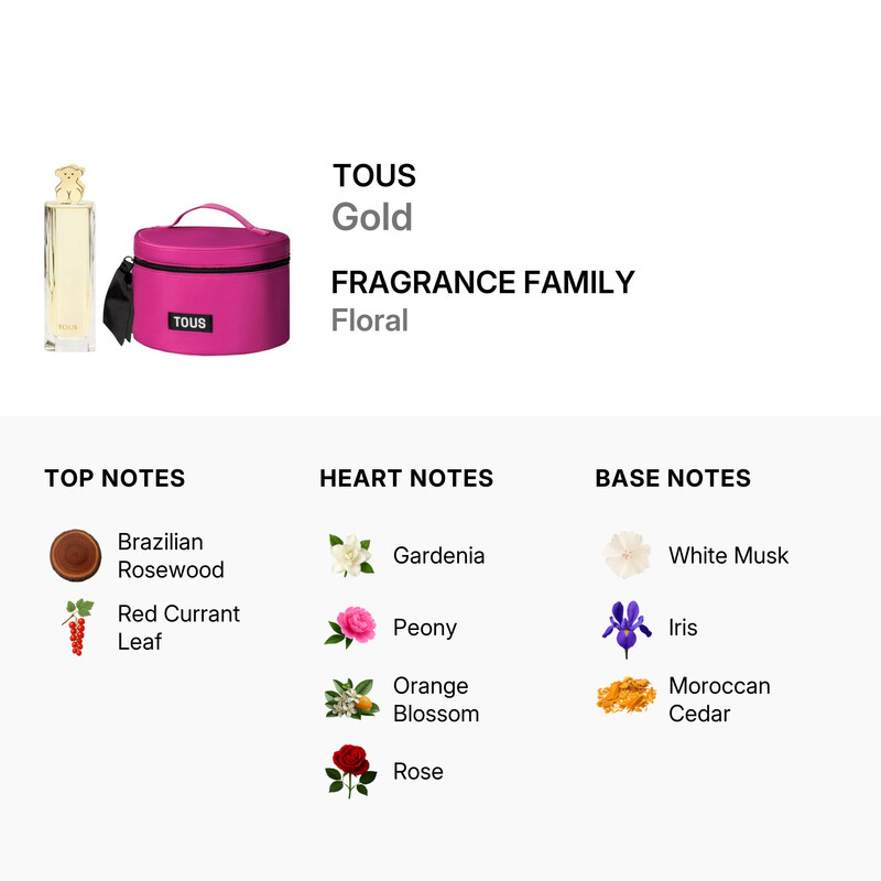 TOUSセット Tous Ladies Gold Gift Set Fragrances 8436603332460 - Fragrances