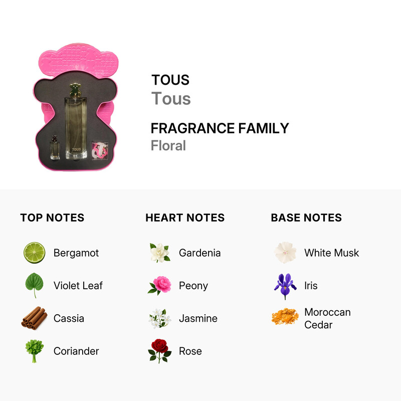 Tous Ladies Tous Gift Set Fragrances 8436603332538 - Fragrances