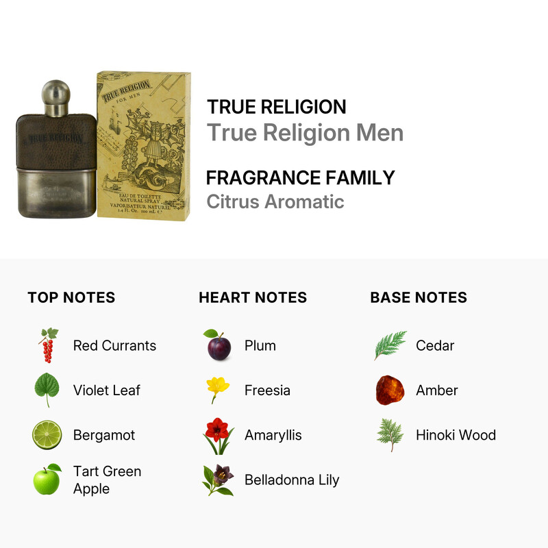 True Religion / True Religion Eau De Toilette Spray 3.3 oz (m)
