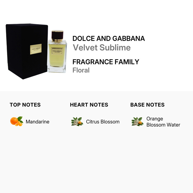 Dolce & Gabbana Velvet Sublime by Dolce and Gabbana for Women - 5