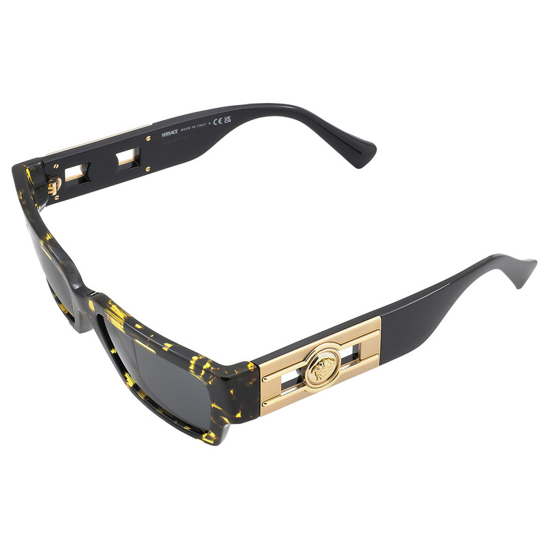 Versace Dark Grey Rectangular Unisex Sunglasses VE4459 542887 54
