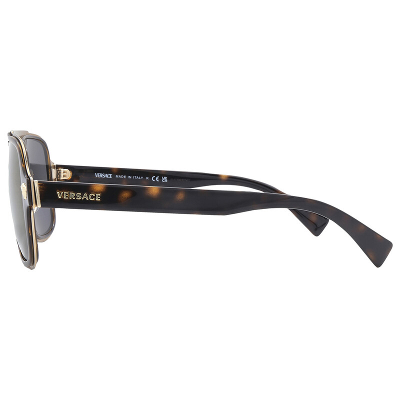 Versace Grey Navigator Men's Sunglasses VE2199 12524T 56