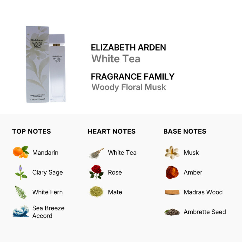 Elizabeth Arden White Tea / Elizabeth Arden EDT Spray 3.3 oz (100