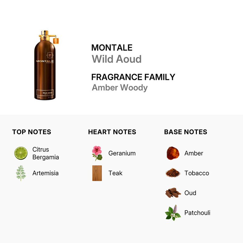 Montale Wild Aoud / Montale EDP Spray 3.3 oz (100 ml) (u